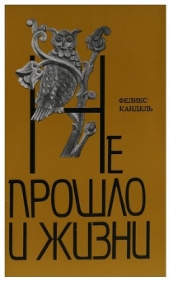 Не прошло и жизни - автор Кандель Феликс Соломонович 