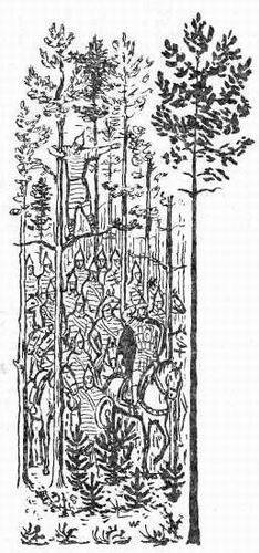 Наша древняя столица - Any2FbImgLoader24