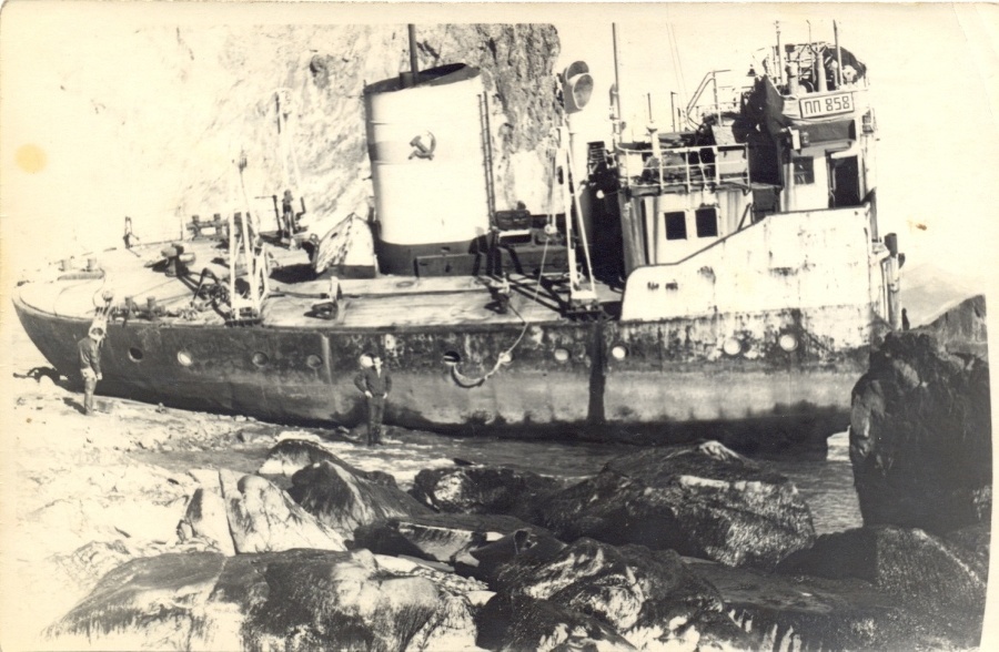 Жизнь и смерть в тропических и ледяных морях - _1.jpg