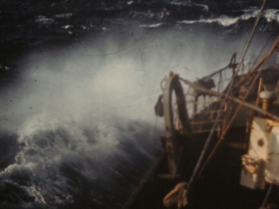 Как боцмана сняли с рейса и что из этого вышло - _0.jpg