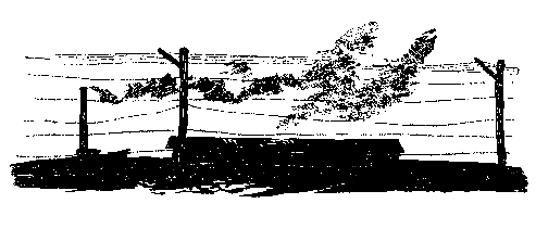 Парень из Сальских степей - pic_2.png