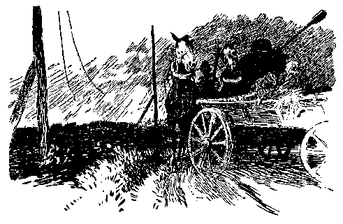 Парень из Сальских степей - pic_11.png