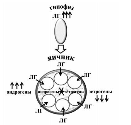 Бесплодие – не приговор! - _6.jpg