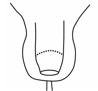 Даосские секреты здоровья для мужчин. Как получить жизненную силу - _10.jpg