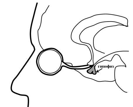 Даосские секреты здоровья для мужчин. Как получить жизненную силу - _5.jpg