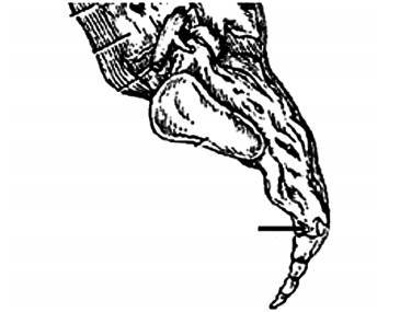 Даосские секреты здоровья для мужчин. Как получить жизненную силу - _6.jpg