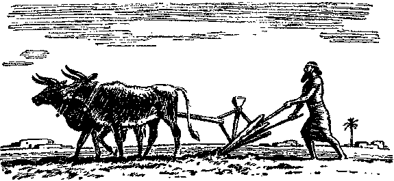 Глиняный конверт - i_007.png