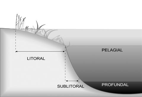 Где, кого и как можно поймать - _01.png