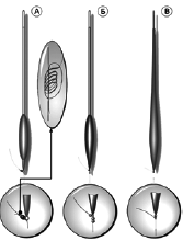 Новейшая энциклопедия рыбалки - i_042.png