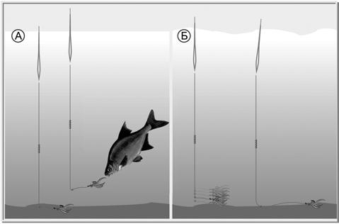 Тактика ловли поплавочной удочкой - _03.png