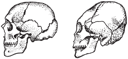 Сарматы. Древний народ юга России - i_008.png