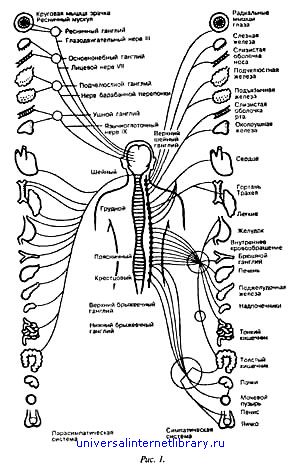 Дорога в молодость и здоровье. Практическое руководство для мужчин и женщин - i_001.jpg