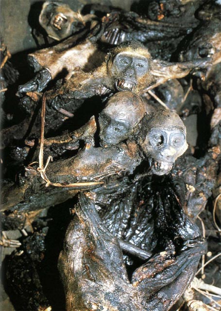 Экстремальная кухня: Причудливые и удивительные блюда, которые едят люди - i_010.jpg