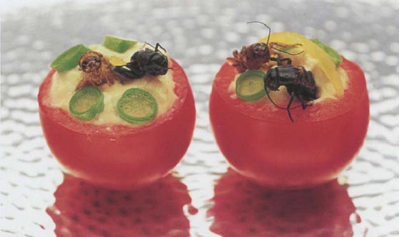 Экстремальная кухня: Причудливые и удивительные блюда, которые едят люди - i_039.jpg