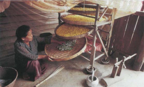 Экстремальная кухня: Причудливые и удивительные блюда, которые едят люди - i_040.jpg