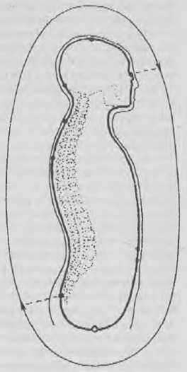 круги на воде - Grabbber.jpg_11
