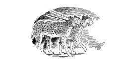 Город Цветов - _25.jpg