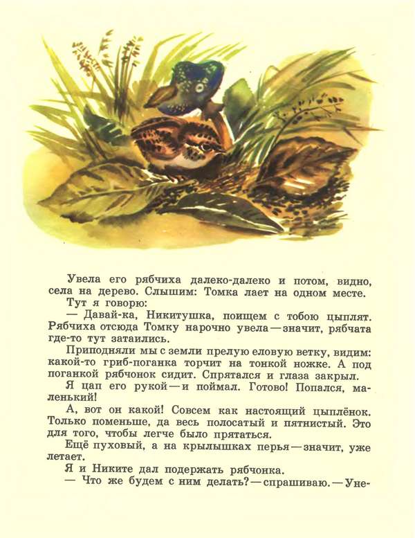 Про зайчат - i_014.jpg