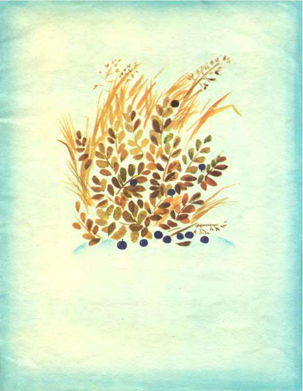 Про зайчат - i_019.jpg