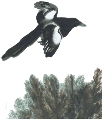 Тюпа, Томка и сорока - i_021.png