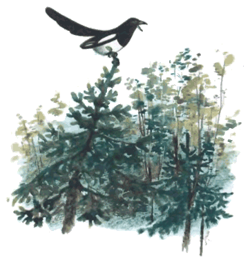 Тюпа, Томка и сорока - i_025.png