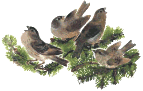 Тюпа, Томка и сорока - i_035.png