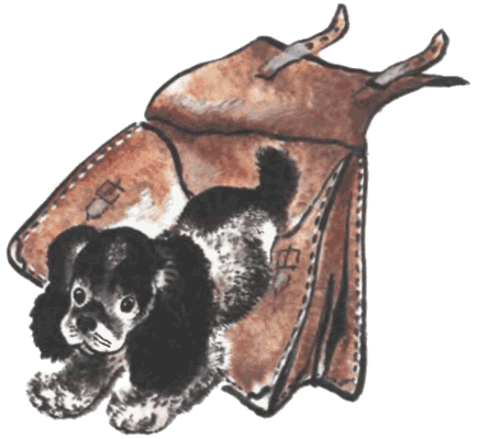 Тюпа, Томка и сорока - i_041.png