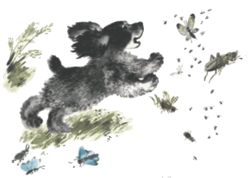 Тюпа, Томка и сорока - i_043.png