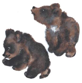 Тюпа, Томка и сорока - i_054.png