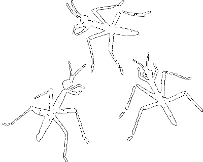 Пруд - i_010.png