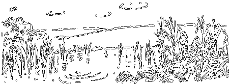 Пруд - i_018.png