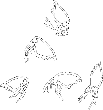 Пруд - i_024.png