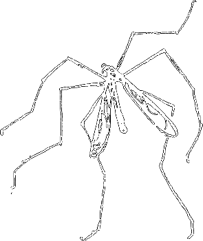 Пруд - i_026.png