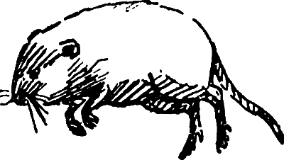 Пруд - i_029.png