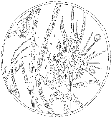 Пруд - i_031.png