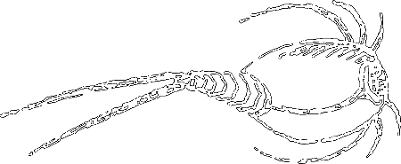 Пруд - i_032.png