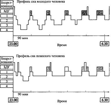 Сон. Почему мы спим и как нам это лучше всего удается - _8.jpg