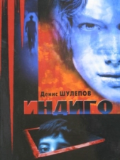  Шулепов Денис - Индиго