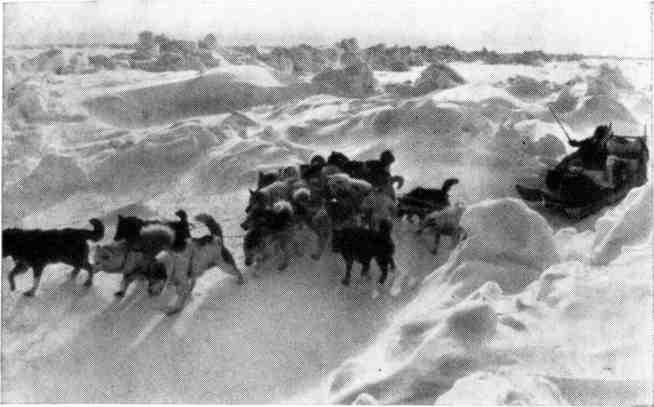 К полюсу! - img_117.jpg