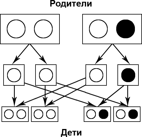 Секреты наследственности человека - i_001.png