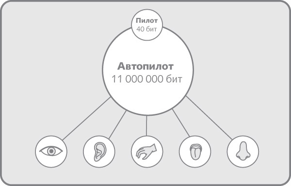 Взлом маркетинга. Наука о том, почему мы покупаем - i_006.jpg