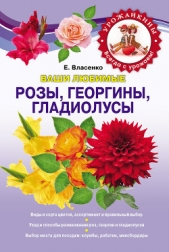 Ваши любимые розы, георгины, гладиолусы - автор Власенко Елена Алексеевна 