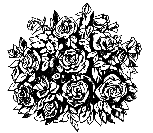 Выращиваем любимые розы - i_001.png