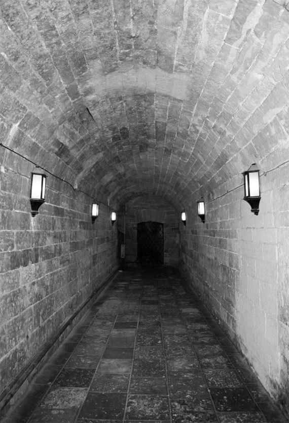 Гатчина. От прошлого к настоящему. История города и его жителей - _73.jpg