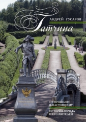 Гатчина. От прошлого к настоящему. История города и его жителей - автор Гусаров Андрей Юрьевич 