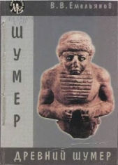  Емельянов Владимир Владимирович - Древний Шумер. Очерки культуры