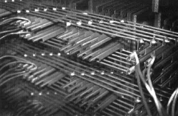 Эволюция разума - i_028.jpg