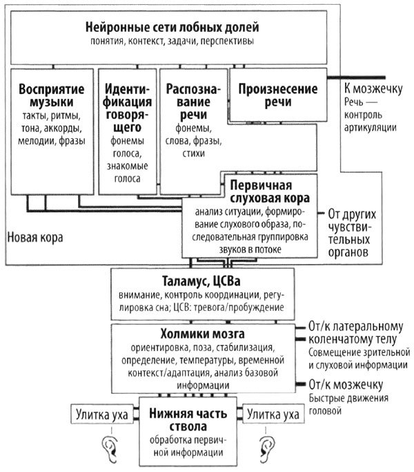 Эволюция разума - i_032.jpg