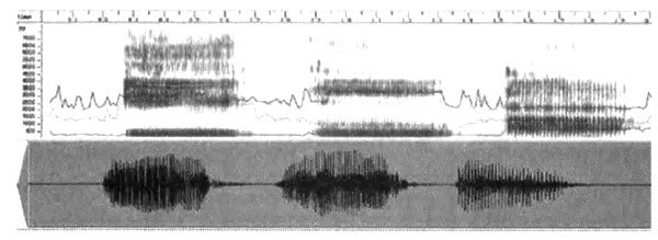 Эволюция разума - i_040.jpg