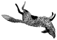 Подземелья Дикого леса - i_045.png